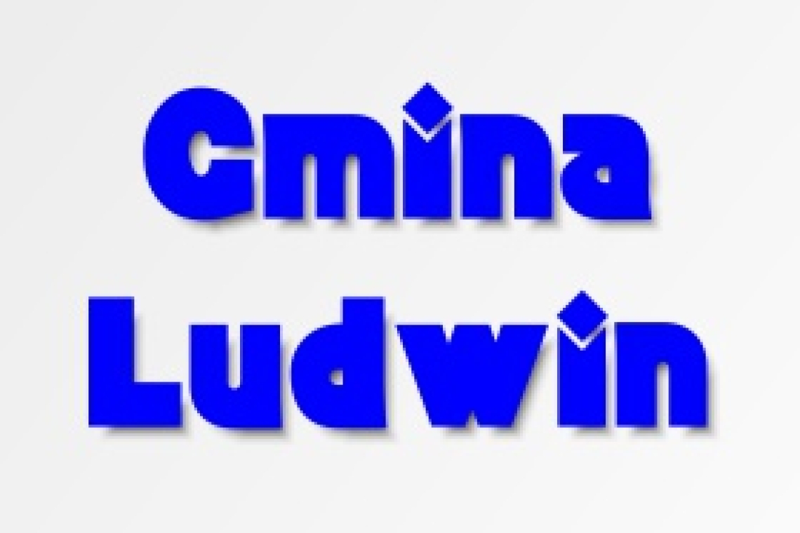 Wojewódzki Zlot Morsów: zimowe kąpiele dla szczytnego celu