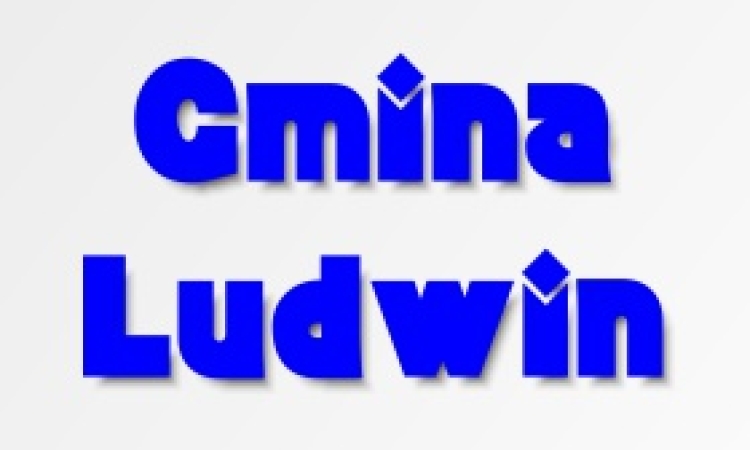 Wojewódzki Zlot Morsów: zimowe kąpiele dla szczytnego celu